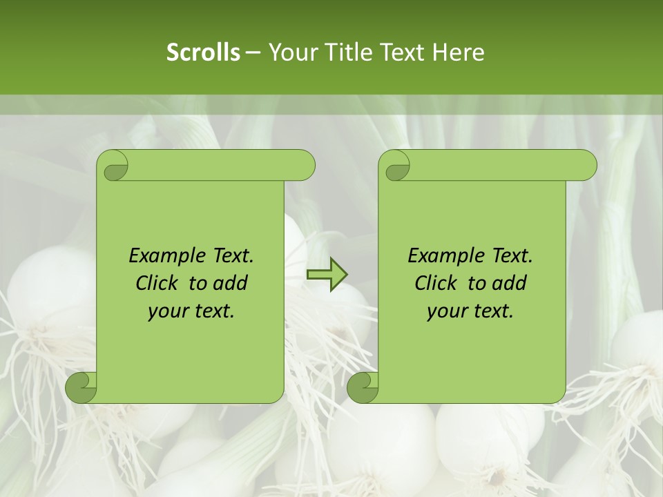 Photograph Onions With Stems Onions Close Up PowerPoint Template