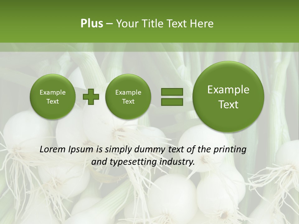 Photograph Onions With Stems Onions Close Up PowerPoint Template