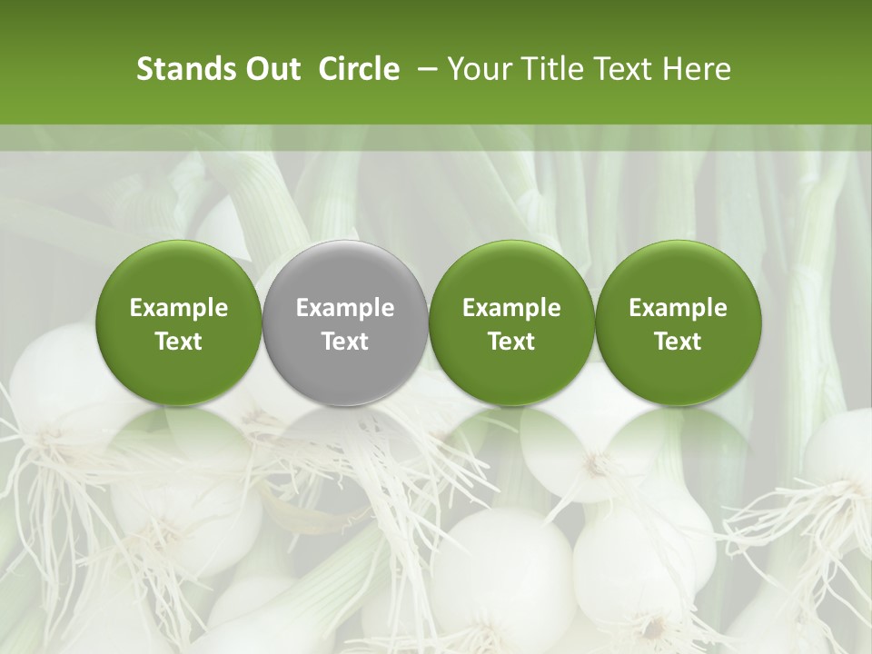 Photograph Onions With Stems Onions Close Up PowerPoint Template
