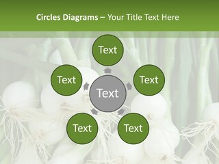 Photograph Onions With Stems Onions Close Up PowerPoint Template