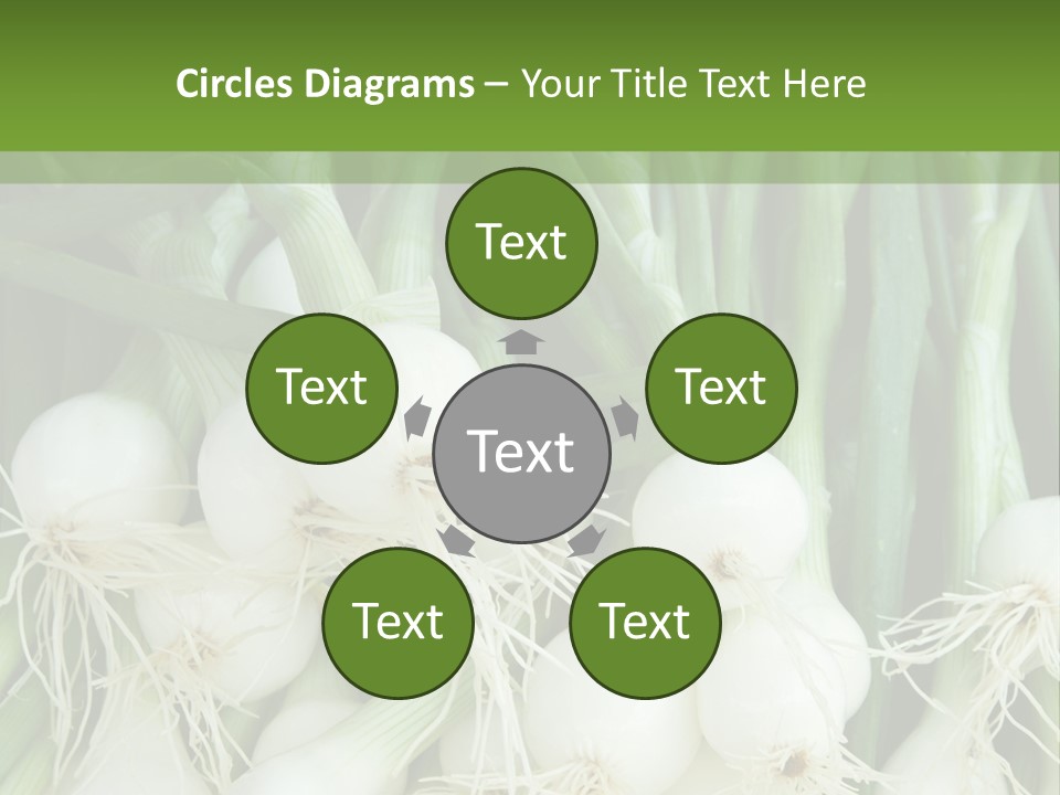 Photograph Onions With Stems Onions Close Up PowerPoint Template