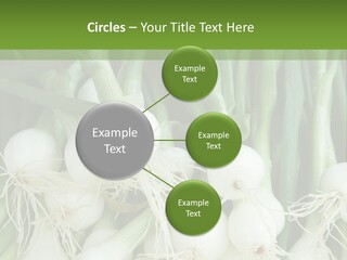 Photograph Onions With Stems Onions Close Up PowerPoint Template