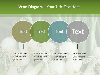 Photograph Onions With Stems Onions Close Up PowerPoint Template