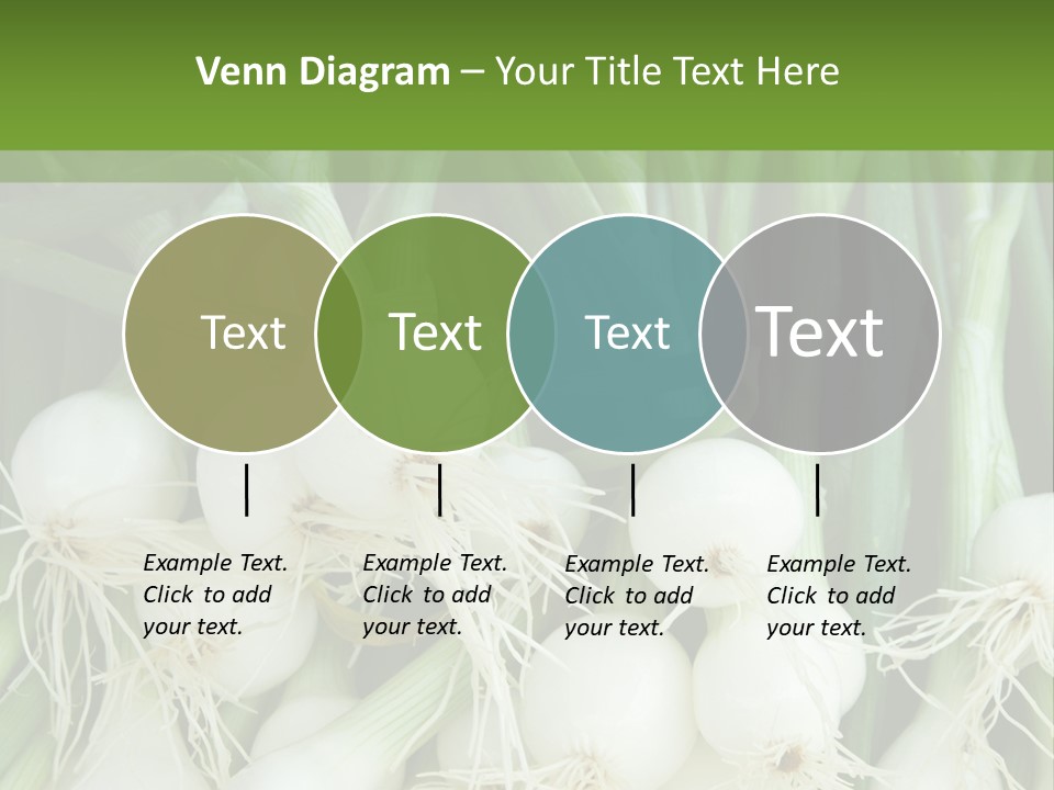 Photograph Onions With Stems Onions Close Up PowerPoint Template