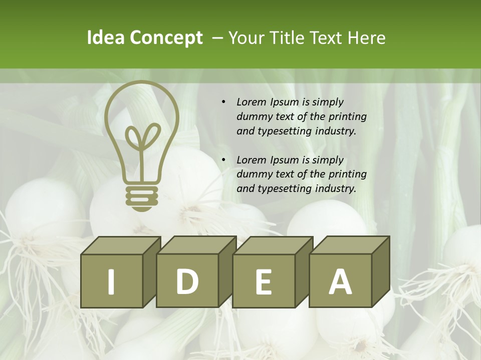 Photograph Onions With Stems Onions Close Up PowerPoint Template