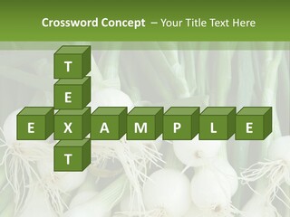 Photograph Onions With Stems Onions Close Up PowerPoint Template