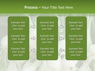 Photograph Onions With Stems Onions Close Up PowerPoint Template