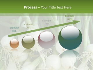 Photograph Onions With Stems Onions Close Up PowerPoint Template