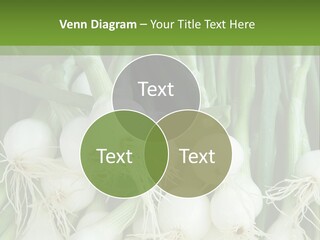 Photograph Onions With Stems Onions Close Up PowerPoint Template