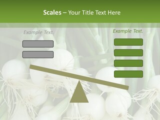 Photograph Onions With Stems Onions Close Up PowerPoint Template