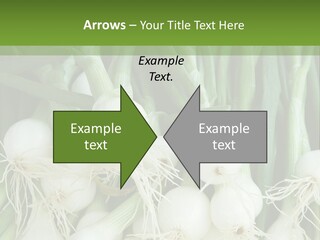 Photograph Onions With Stems Onions Close Up PowerPoint Template
