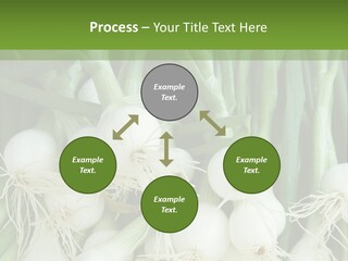 Photograph Onions With Stems Onions Close Up PowerPoint Template