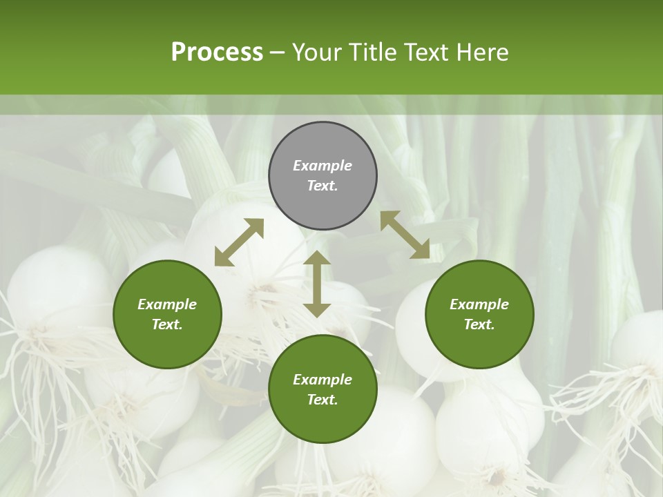 Photograph Onions With Stems Onions Close Up PowerPoint Template