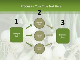 Photograph Onions With Stems Onions Close Up PowerPoint Template