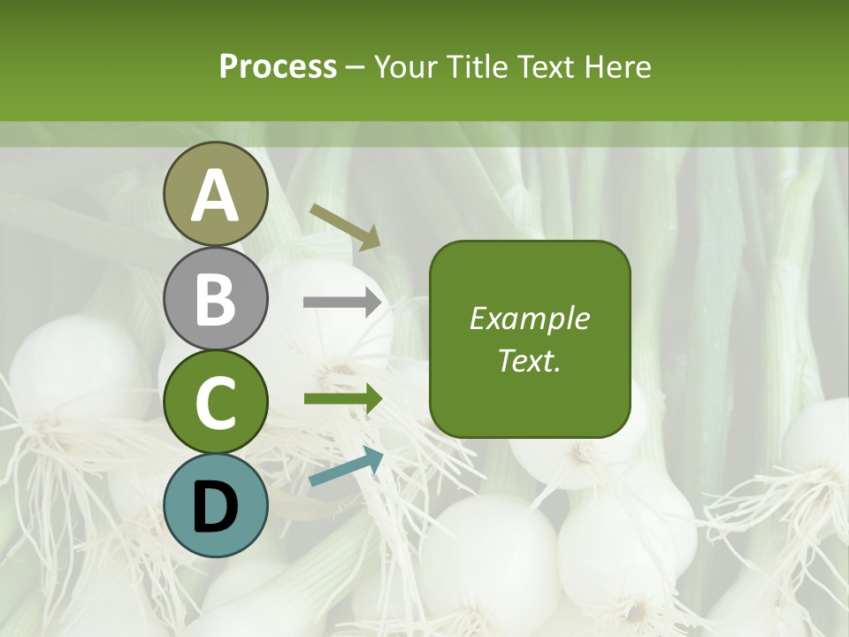 Photograph Onions With Stems Onions Close Up PowerPoint Template
