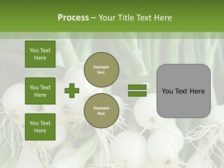 Photograph Onions With Stems Onions Close Up PowerPoint Template