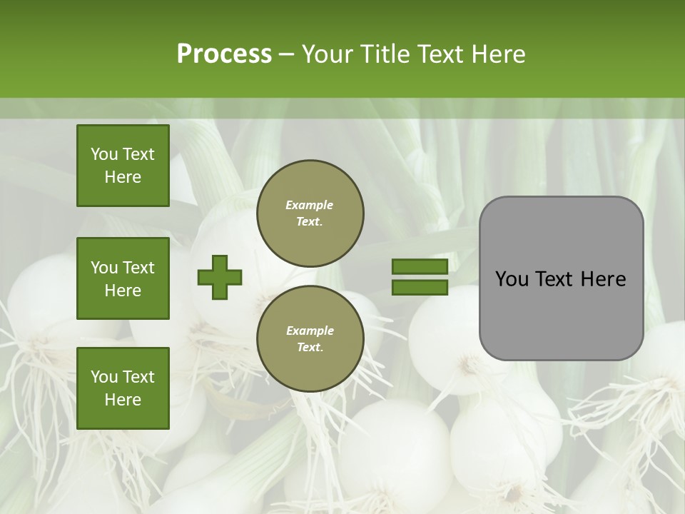 Photograph Onions With Stems Onions Close Up PowerPoint Template
