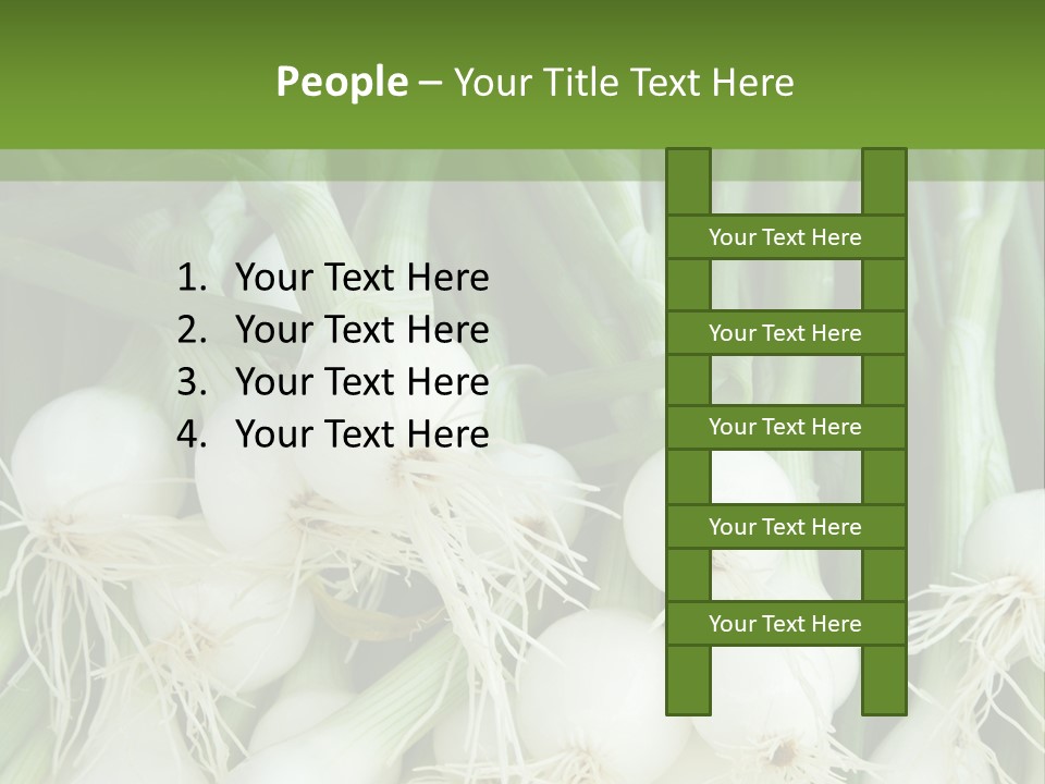 Photograph Onions With Stems Onions Close Up PowerPoint Template