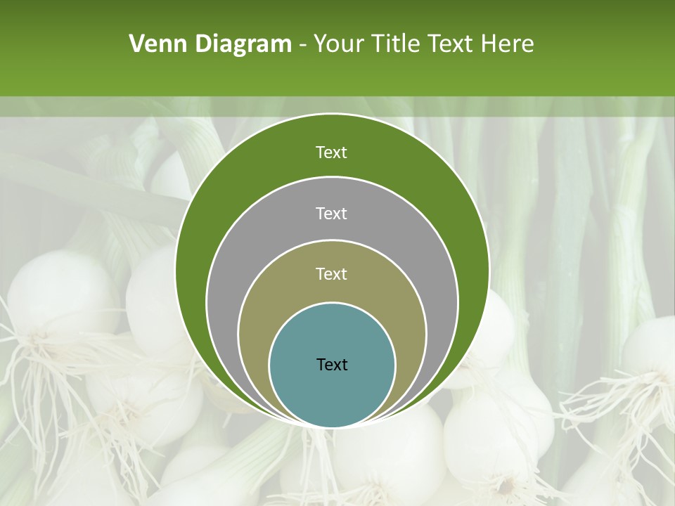 Photograph Onions With Stems Onions Close Up PowerPoint Template