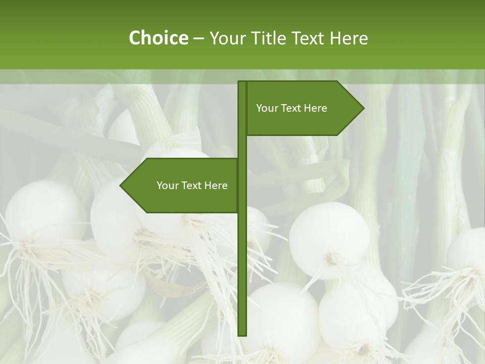 Photograph Onions With Stems Onions Close Up PowerPoint Template