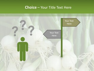 Photograph Onions With Stems Onions Close Up PowerPoint Template