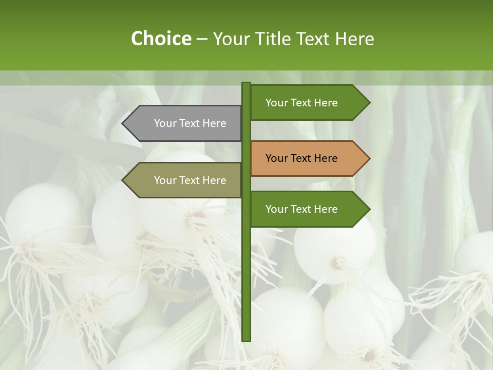 Photograph Onions With Stems Onions Close Up PowerPoint Template