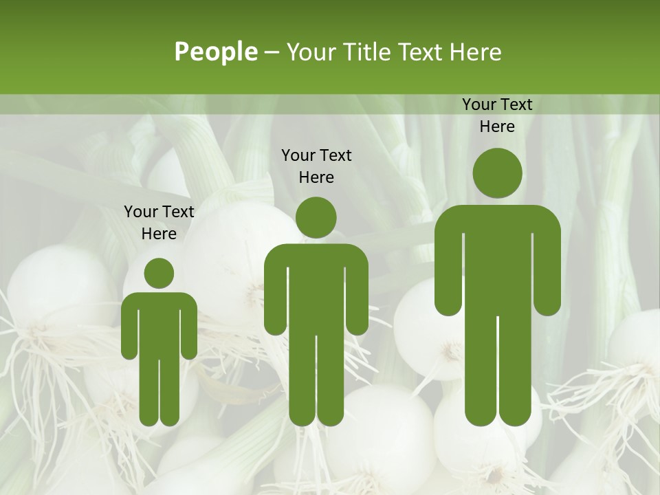 Photograph Onions With Stems Onions Close Up PowerPoint Template