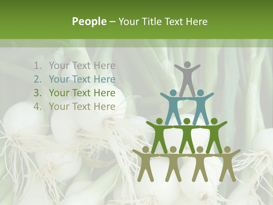 Photograph Onions With Stems Onions Close Up PowerPoint Template