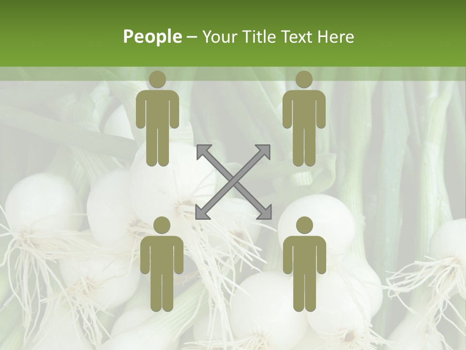 Photograph Onions With Stems Onions Close Up PowerPoint Template