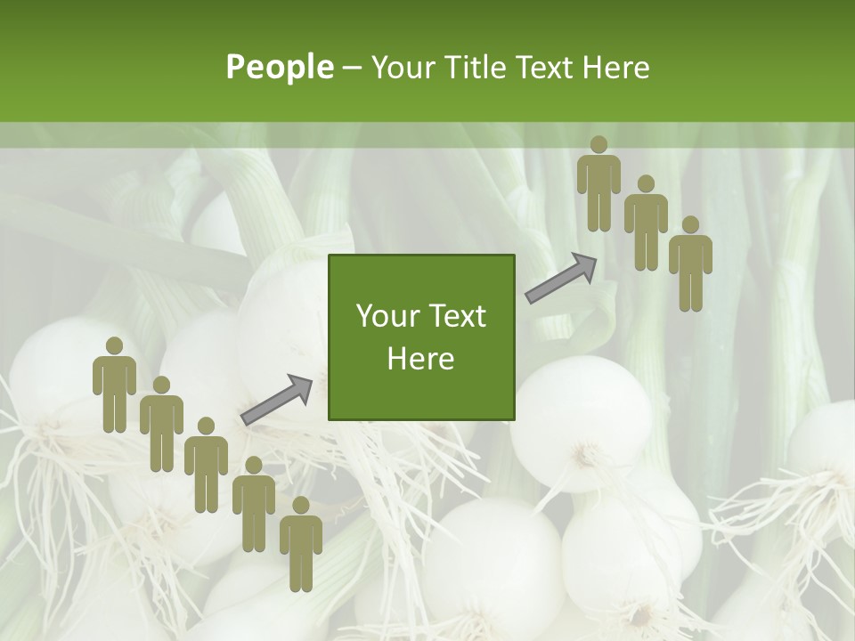 Photograph Onions With Stems Onions Close Up PowerPoint Template