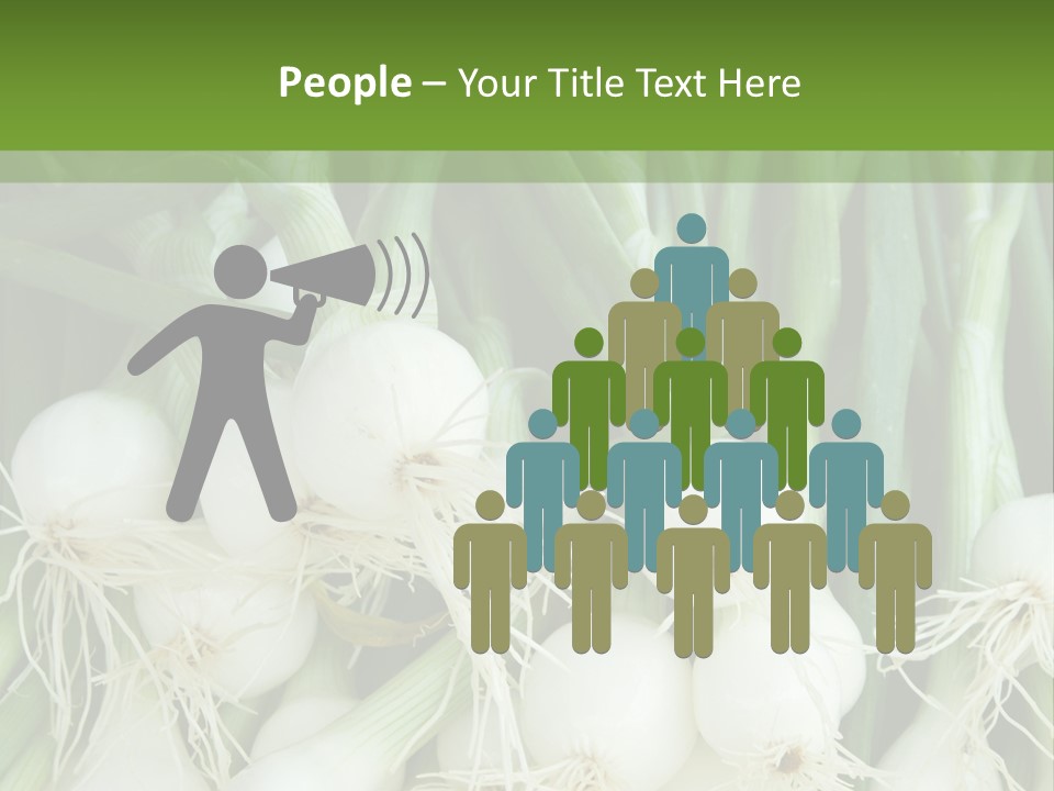 Photograph Onions With Stems Onions Close Up PowerPoint Template