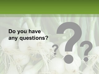Photograph Onions With Stems Onions Close Up PowerPoint Template