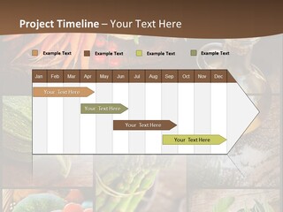 Unit Conditioner Switch PowerPoint Template