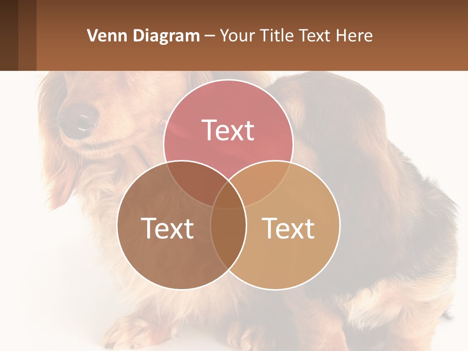 Energy Ventilation Climate PowerPoint Template