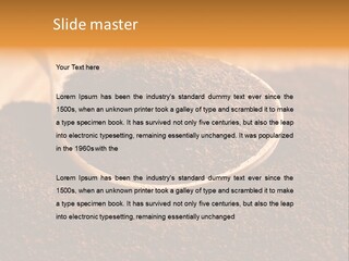 Heat Temperature Switch PowerPoint Template