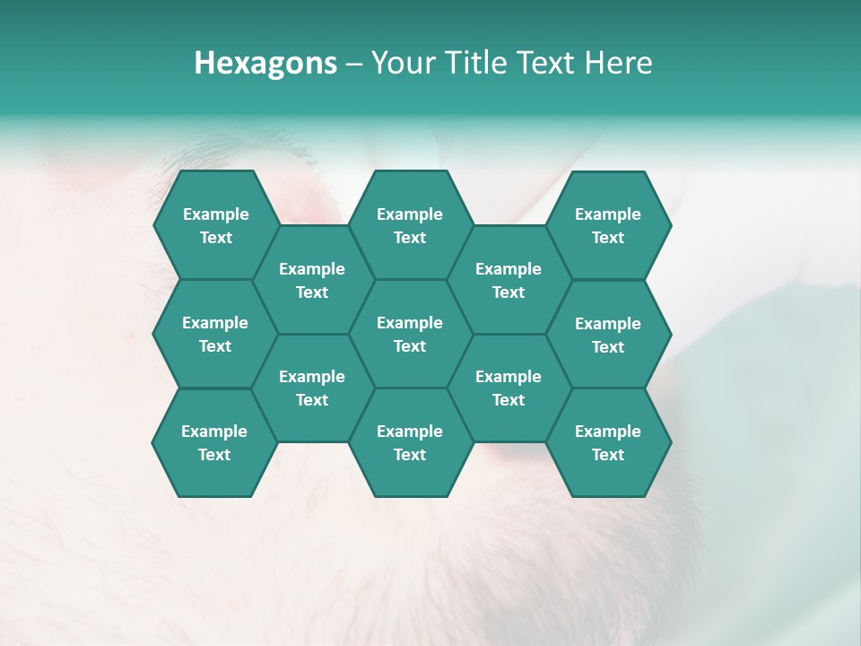 Air Home Ventilation PowerPoint Template