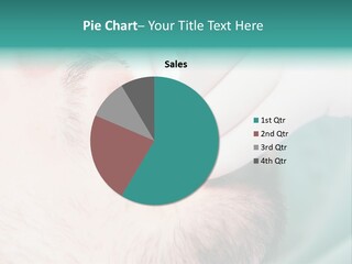 Air Home Ventilation PowerPoint Template