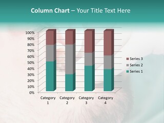 Air Home Ventilation PowerPoint Template