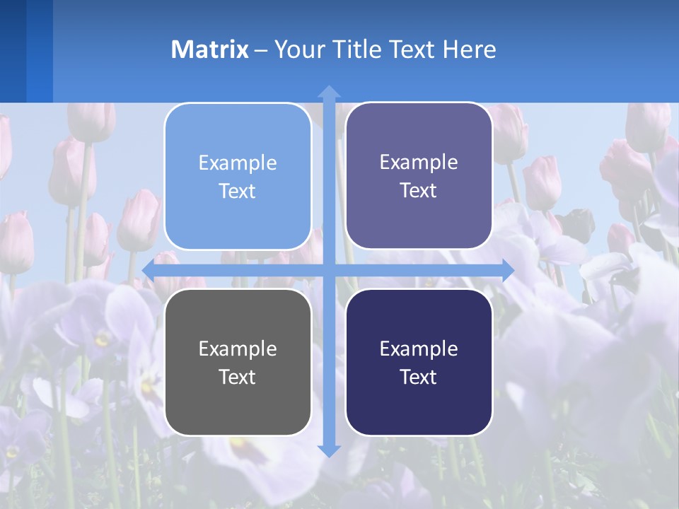 Climate Energy Home PowerPoint Template