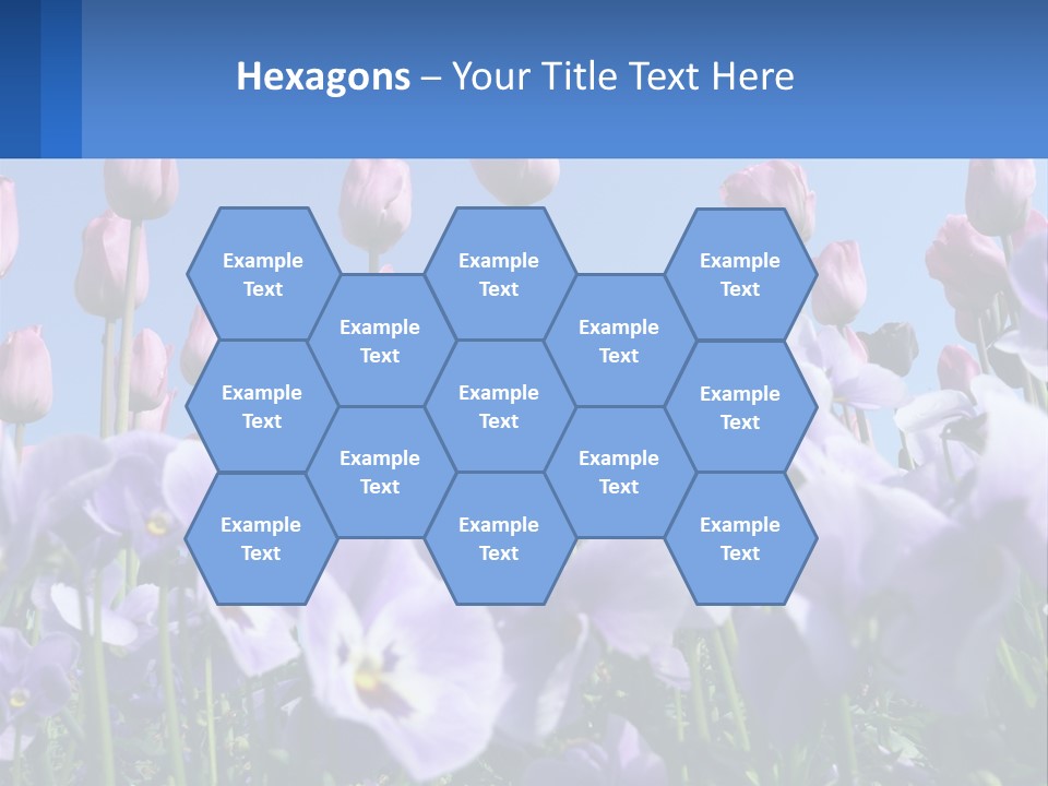 Climate Energy Home PowerPoint Template