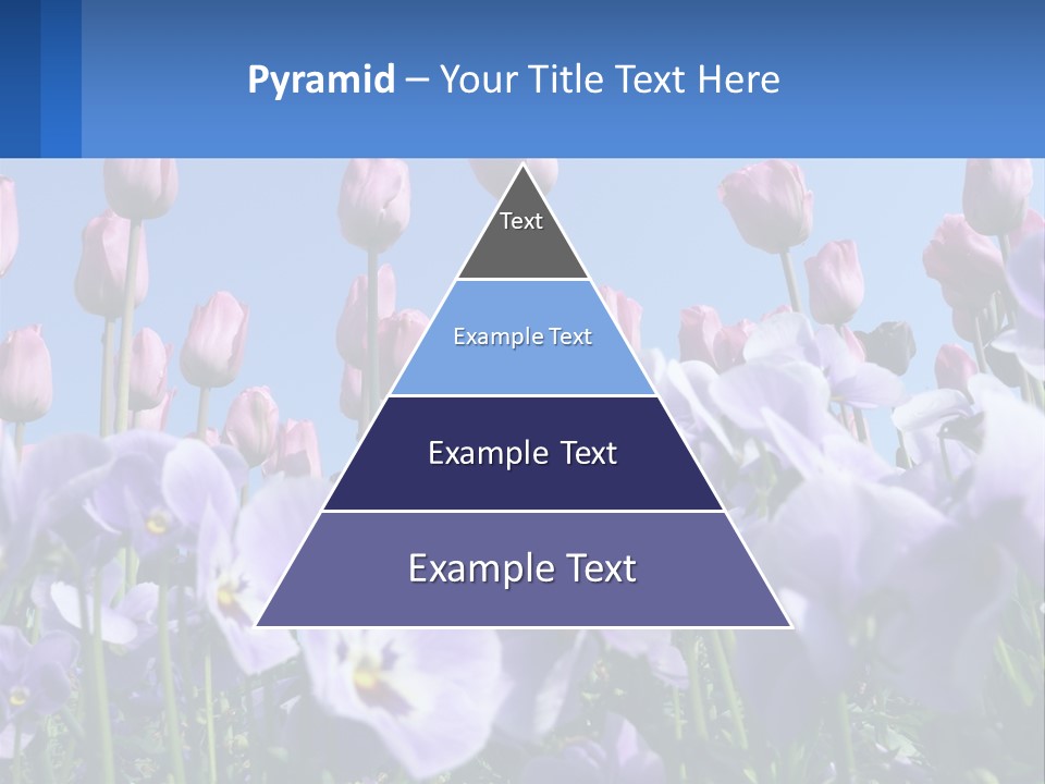 Climate Energy Home PowerPoint Template