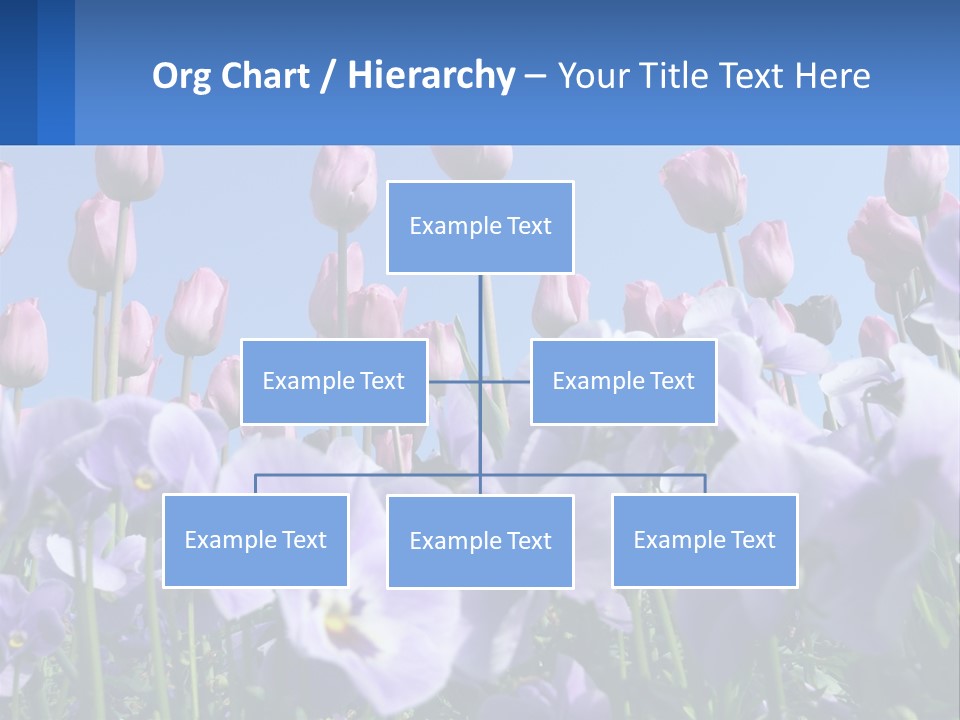 Climate Energy Home PowerPoint Template
