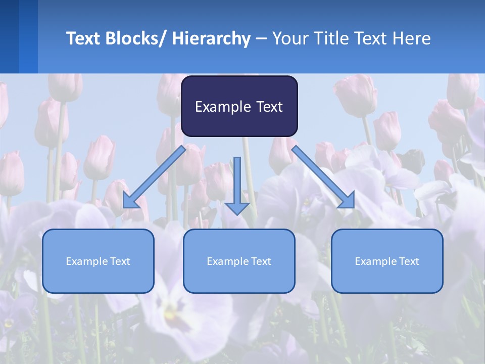 Climate Energy Home PowerPoint Template