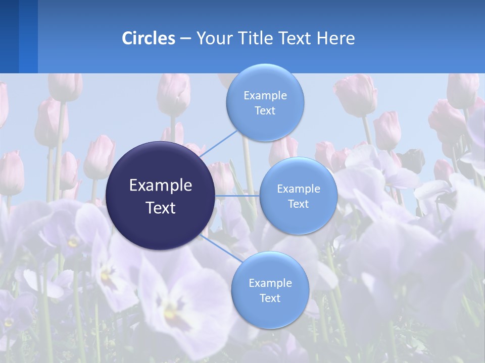 Climate Energy Home PowerPoint Template