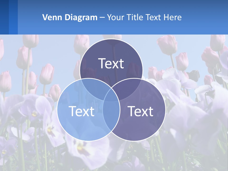 Climate Energy Home PowerPoint Template