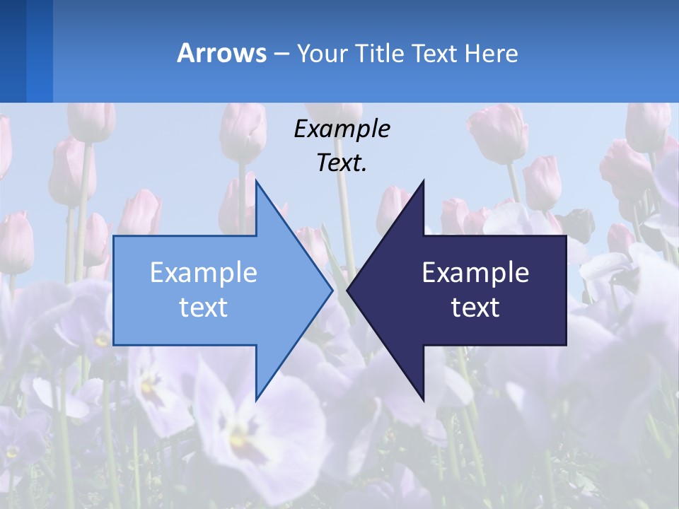 Climate Energy Home PowerPoint Template