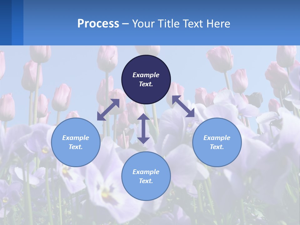 Climate Energy Home PowerPoint Template
