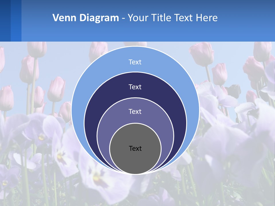 Climate Energy Home PowerPoint Template