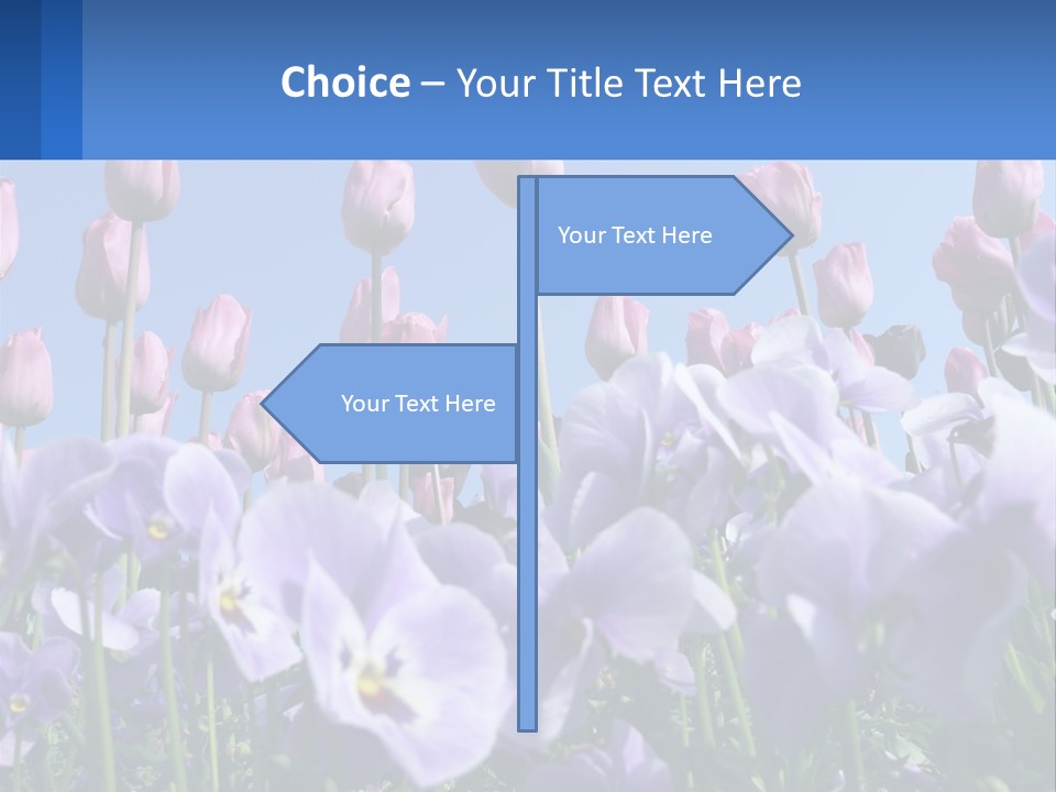 Climate Energy Home PowerPoint Template