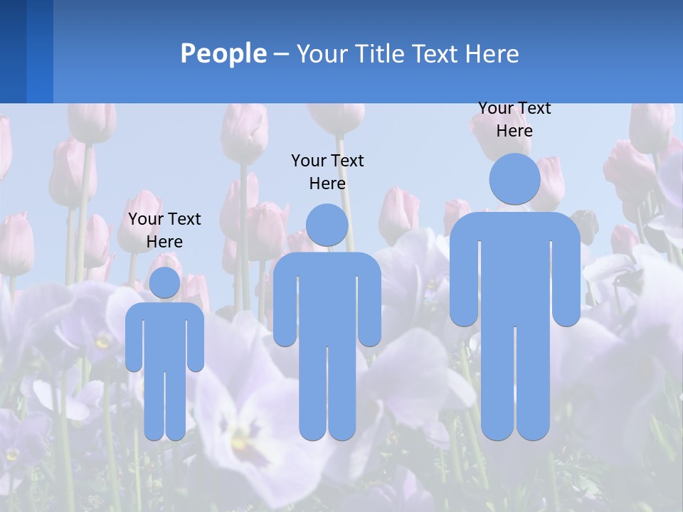 Climate Energy Home PowerPoint Template